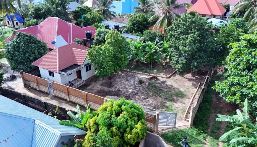 Discover Kisauni Zanzibar – Your Gateway to Paradise