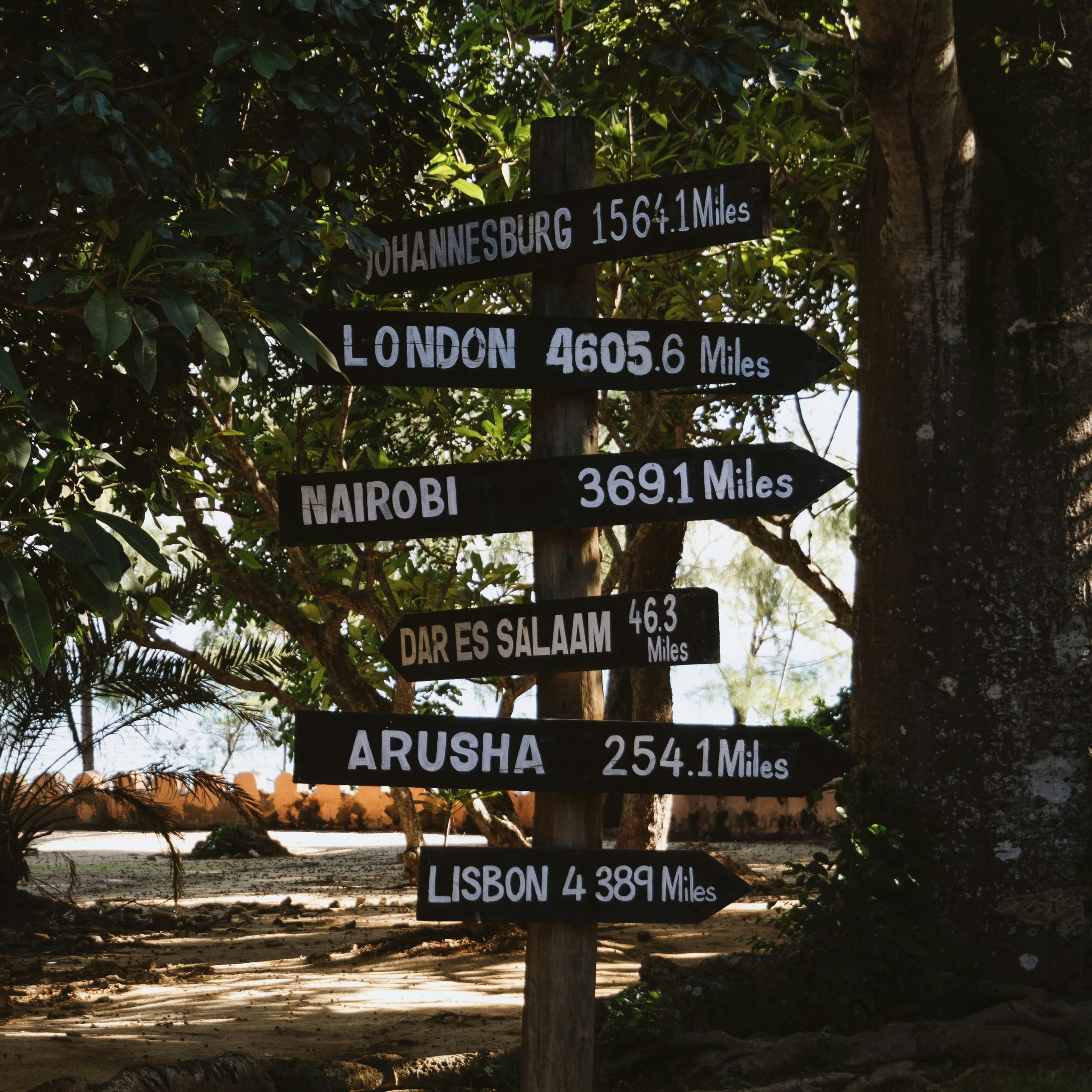 Popular Places Near The Best Travelling Zanzibar Apartment